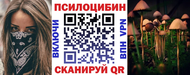 Галлюциногенные грибы Psilocybe закладки Нижние Серги